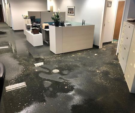 Trinity Water Restoration