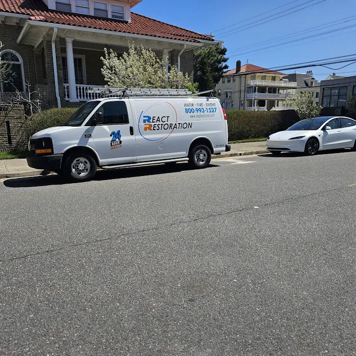 React Restoration Picture 1