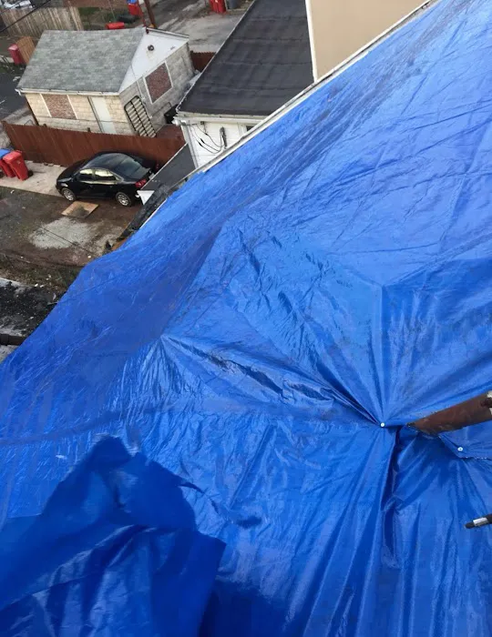 Priority Restoration Picture 5