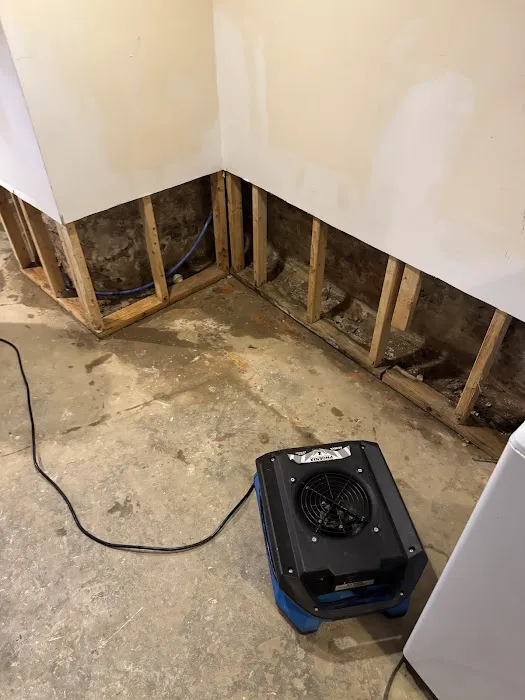 True Home LLC Picture 2