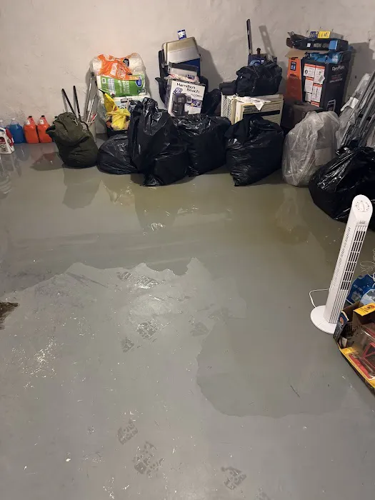 True Home LLC Picture 4