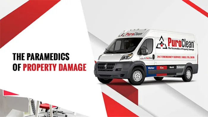 PuroClean Emergency Recovery Services Picture 3