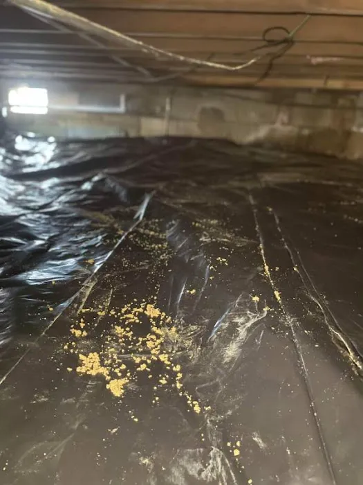 Affordable Waterproofing LLC Picture 6