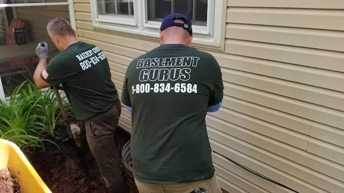 Basement Gurus Picture 1