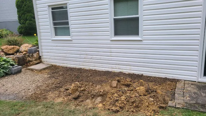 Basement Gurus Picture 9