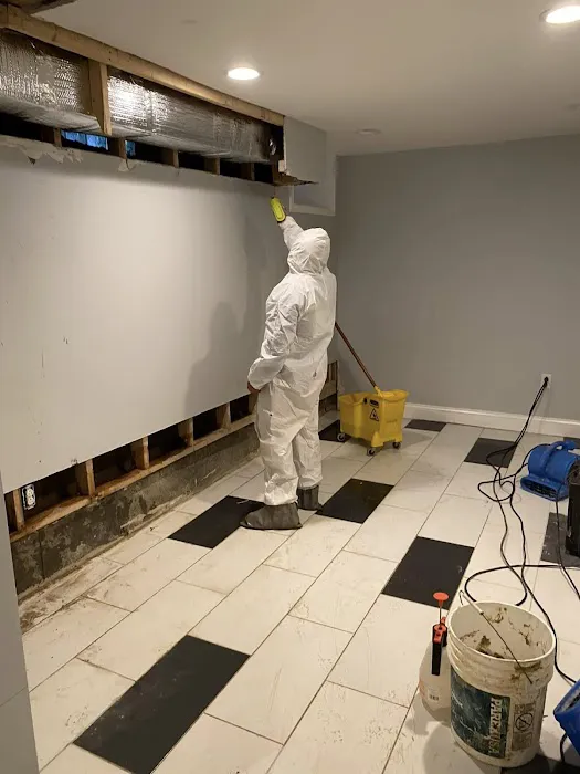 Pollution Solutions Remediation & Mold Services Picture 1