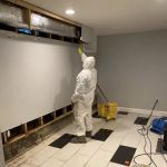 Pollution Solutions Remediation & Mold Services