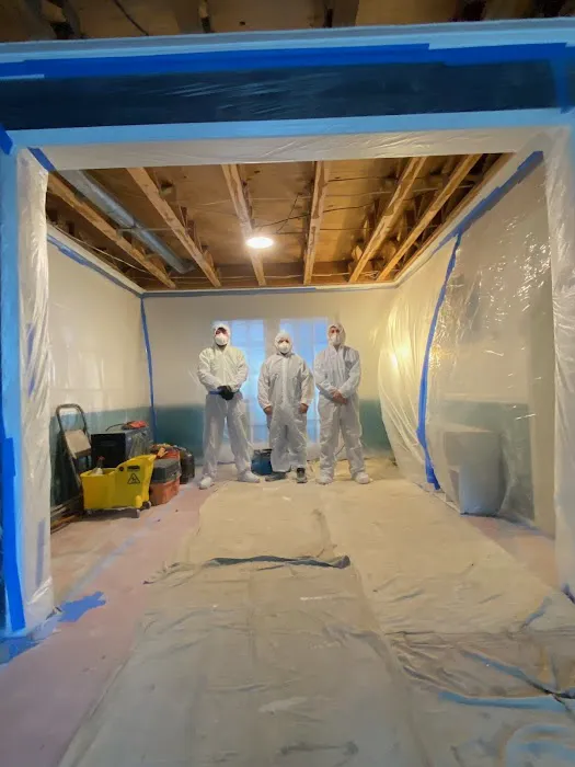 Pollution Solutions Remediation & Mold Services Picture 3