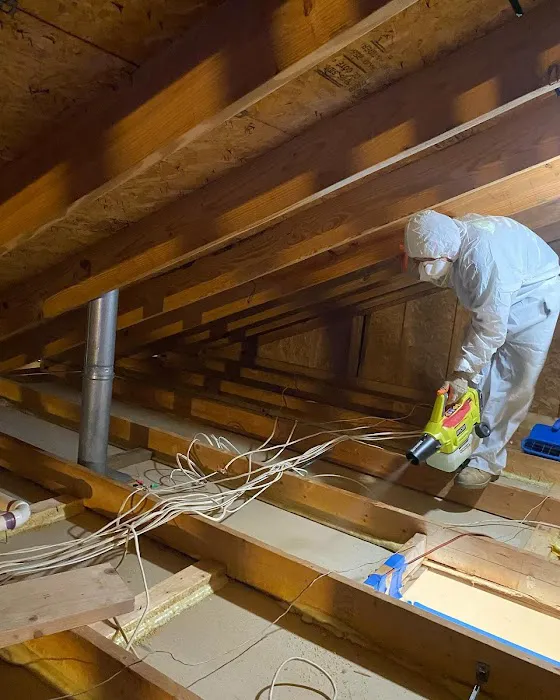 Pollution Solutions Remediation & Mold Services Picture 4