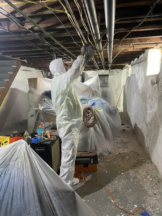 Pollution Solutions Remediation & Mold Services Picture 2