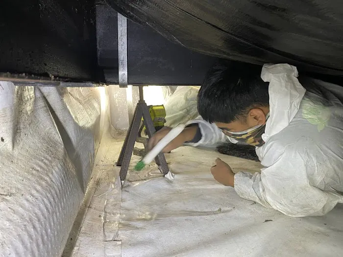 Pollution Solutions Remediation & Mold Services Picture 7