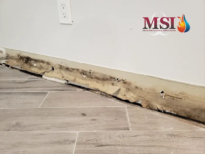 Mold Solutions & Inspections Picture 2