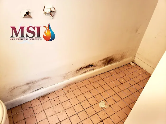 Mold Solutions & Inspections Picture 1