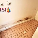 Mold Solutions & Inspections