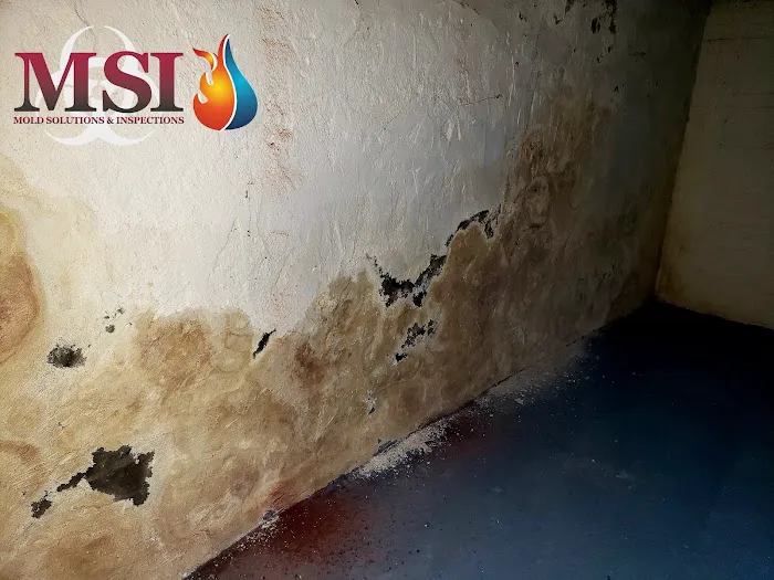 Mold Solutions & Inspections Picture 7