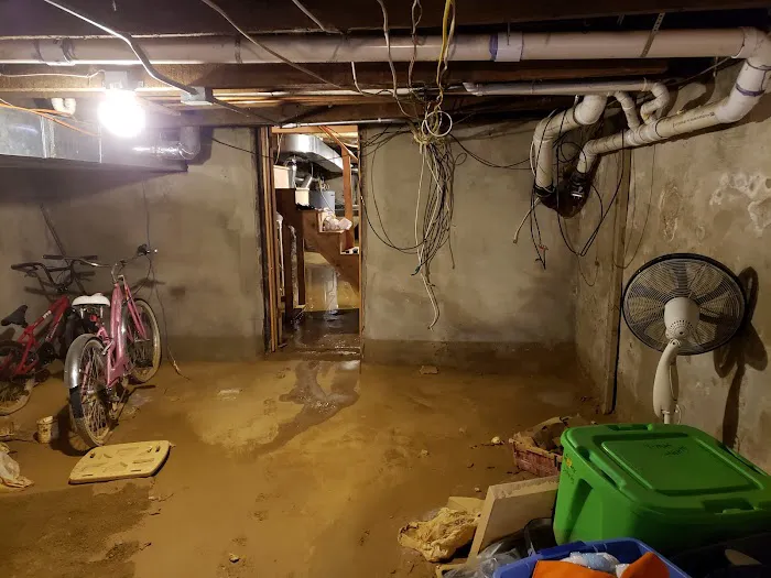 Mold Solutions & Inspections Picture 5