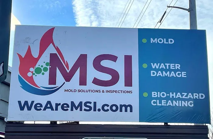 Mold Solutions & Inspections Picture 6