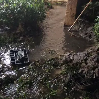 ALL US Mold Removal & Remediation Philadelphia Picture 1