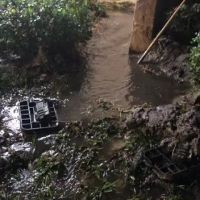 ALL US Mold Removal & Remediation Philadelphia ico