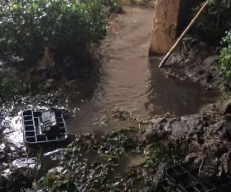 ALL US Mold Removal & Remediation Philadelphia