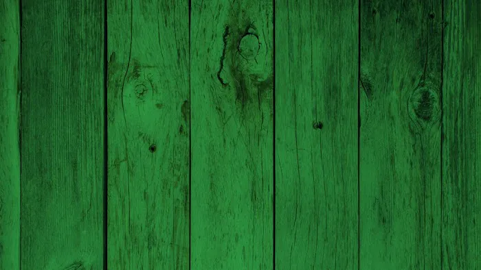 Tayman Painting & Construction Picture 1