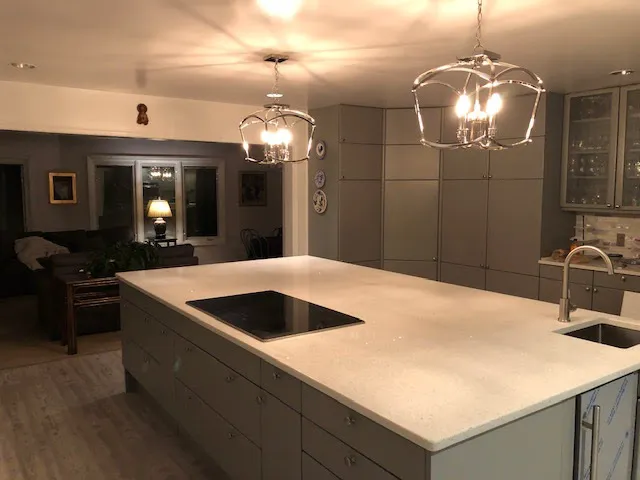 Jenkins Restoration and Remodel Picture 1