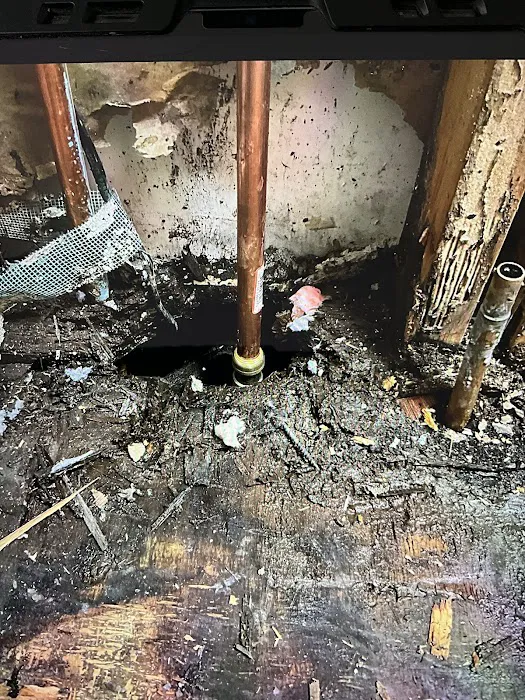 Paul Davis Restoration of Tri-County, MD Picture 5