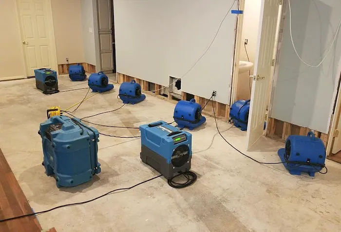 Raines Restoration Picture 8