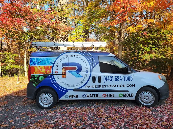 Raines Restoration Picture 7