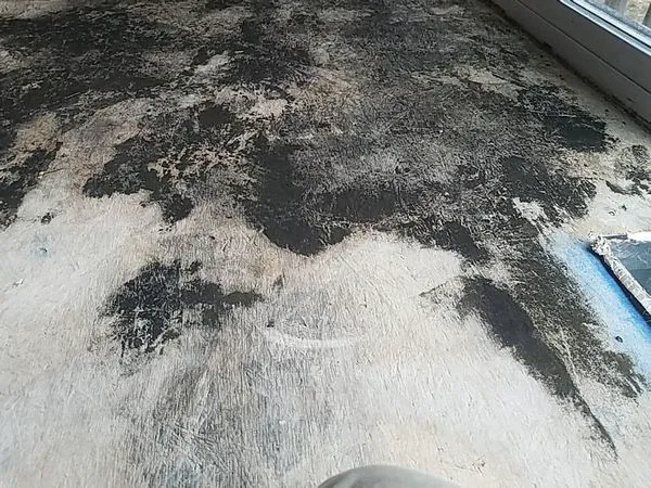 Raines Restoration Picture 4