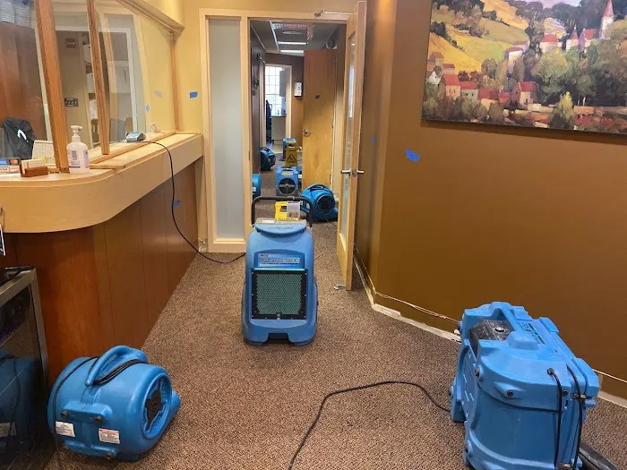 Raines Restoration Picture 5