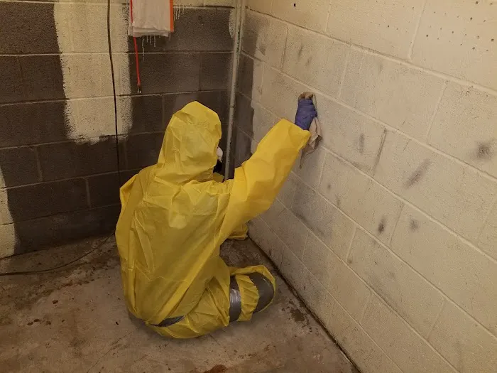 Benko Disaster Restoration Picture 5