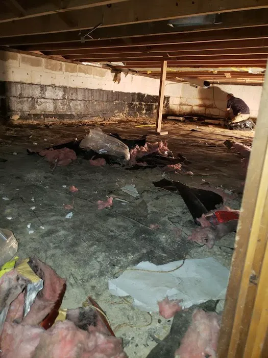 SERVPRO of Sussex County Picture 6