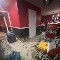 Capital Property ico