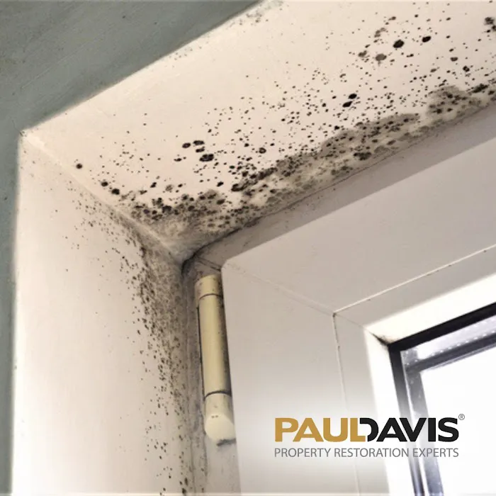 Paul Davis Restoration of the Delmarva Peninsula Picture 8