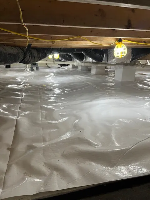 Guardian Crawl Space Company Picture 5