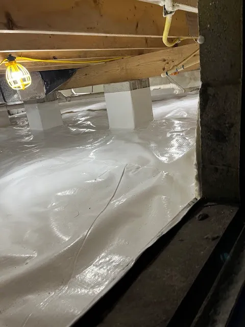 Guardian Crawl Space Company Picture 4