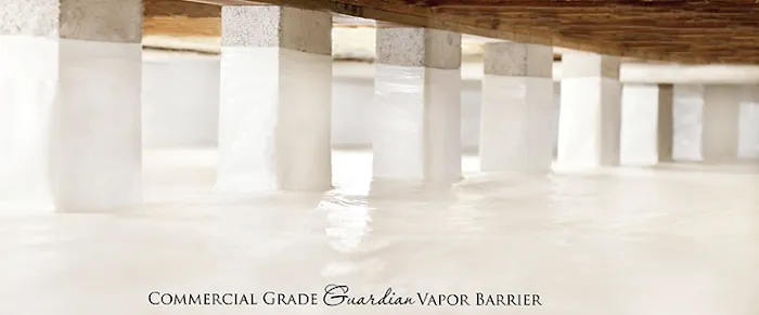 Delaware Crawl Space Company Picture 7