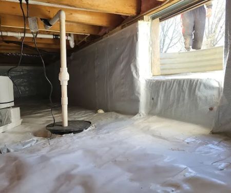 Quality Crawlspace and More