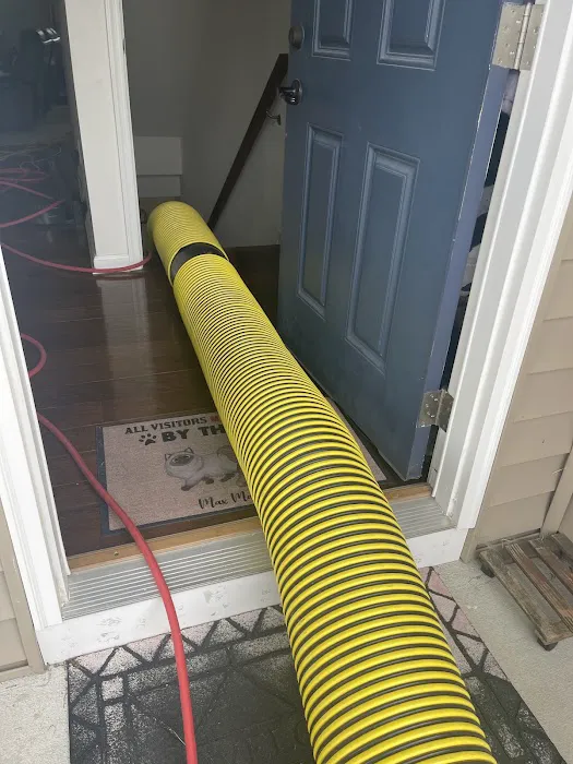 Stanley Steemer Picture 6