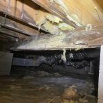 DryTek Crawlspace Solutions