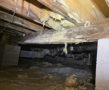 DryTek Crawlspace Solutions