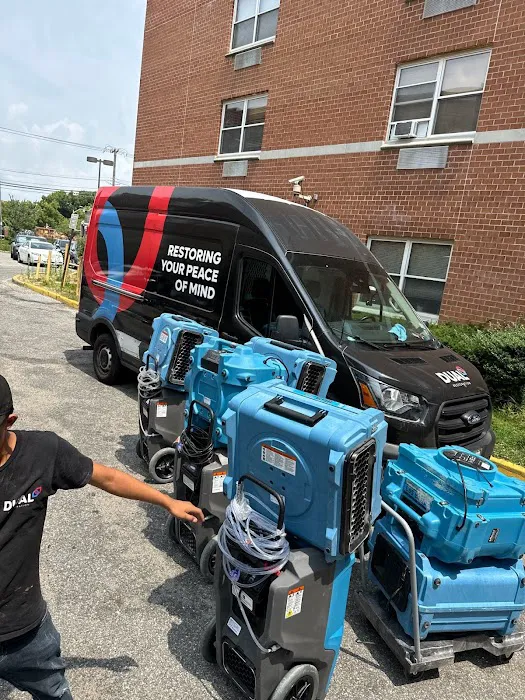 Dual Restoration Picture 1