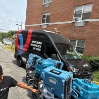 Dual Restoration ico