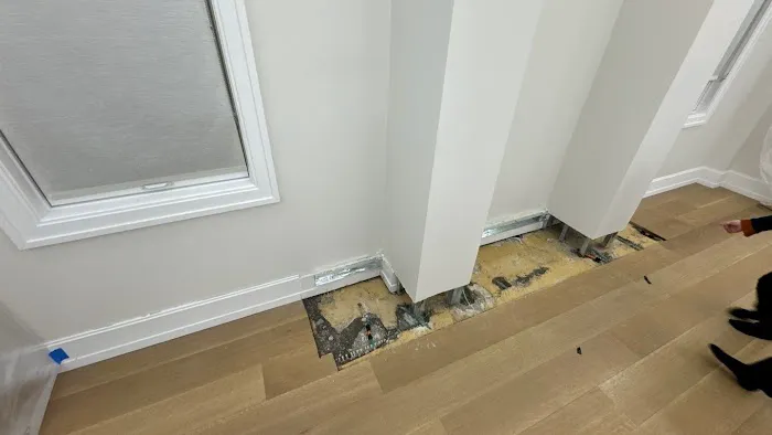 Dual Restoration Picture 2