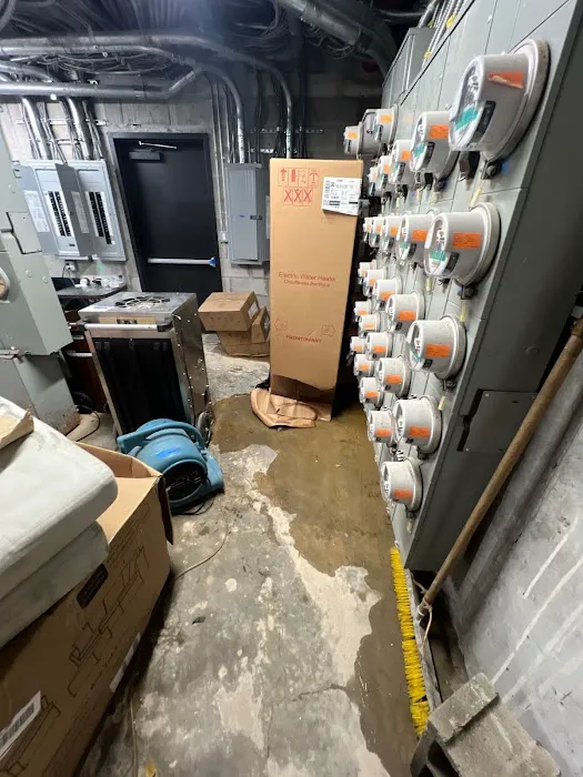 Dual Restoration Picture 4