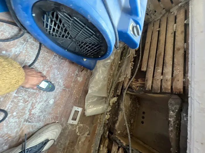 Dual Restoration Picture 6