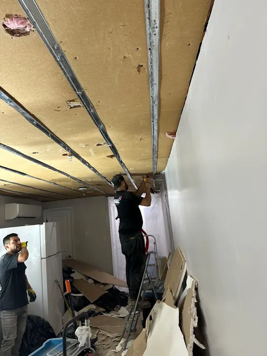 Dual Restoration Picture 9