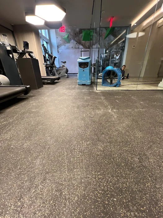 Dual Restoration Picture 10