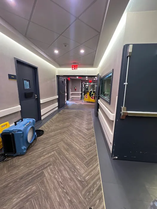 Dual Restoration Picture 8